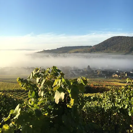Weingut Zenz-pohl Gasthuis Kinheim