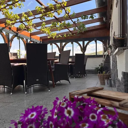 Maison d'hôtes Weingut Zenz-pohl Kinheim